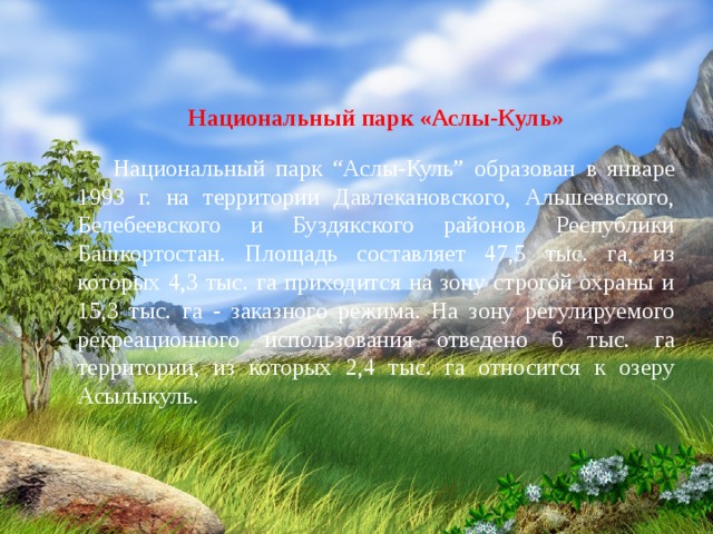Национальный парк «Аслы-Куль» Национальный парк “Аслы-Куль” образован в январе 1993 г. на территории Давлекановского, Альшеевского, Белебеевского и Буздякского районов Республики Башкортостан. Площадь составляет 47,5 тыс. га, из которых 4,3 тыс. га приходится на зону строгой охраны и 15,3 тыс. га - заказного режима. На зону регулируемого рекреационного использования отведено 6 тыс. га территории, из которых 2,4 тыс. га относится к озеру Асылыкуль. 