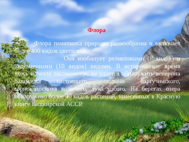 Флора   Флора памятника природы разнообразна и включает более 400 видов цветковых.  Она изобилует реликтовыми (8 видов) и эндемичными (10 видов) видами. В историческое время здесь исчезла лиственница, не удается обнаружить венерина башмачка настоящего, полыни баргузинского, горноколосника колючего, лука косого. На берегах озера обнаружено более 40 видов растений, занесенных в Красную книгу Башкирской АССР. 