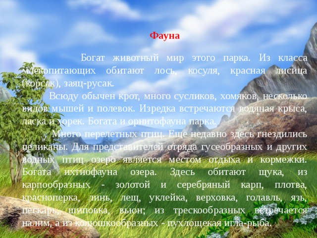 Фауна  Богат животный мир этого парка. Из класса млекопитающих обитают лось, косуля, красная лисица (корсак), заяц-русак.  Всюду обычен крот, много сусликов, хомяков, несколько видов мышей и полевок. Изредка встречаются водяная крыса, ласка и хорек. Богата и орнитофауна парка.  Много перелетных птиц. Еще недавно здесь гнездились пеликаны. Для представителей отряда гусеобразных и других водных птиц озеро является местом отдыха и кормежки. Богата ихтиофауна озера. Здесь обитают щука, из карпообразных - золотой и серебряный карп, плотва, красноперка, линь, лещ, уклейка, верховка, голавль, язь, пескарь, шиповка, вьюн; из трескообразных встречается налим, а из колюшкообразных - пухлощекая игла-рыба. 