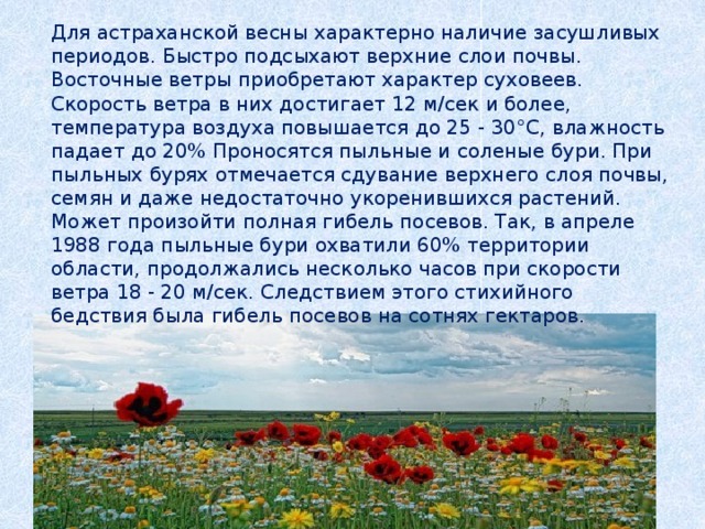 Для астраханской весны характерно наличие засушливых периодов. Быстро подсыхают верхние слои почвы. Восточные ветры приобретают характер суховеев. Скорость ветра в них достигает 12 м/сек и более, температура воздуха повышается до 25 - 30°С, влажность падает до 20% Проносятся пыльные и соленые бури. При пыльных бурях отмечается сдувание верхнего слоя почвы, семян и даже недостаточно укоренившихся растений. Может произойти полная гибель посевов. Так, в апреле 1988 года пыльные бури охватили 60% территории области, продолжались несколько часов при скорости ветра 18 - 20 м/сек. Следствием этого стихийного бедствия была гибель посевов на сотнях гектаров. 