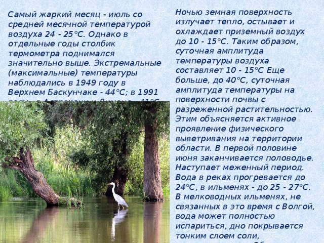 Ночью земная поверхность излучает тепло, остывает и охлаждает приземный воздух до 10 - 15°С. Таким образом, суточная амплитуда температуры воздуха составляет 10 - 15°С Еще больше, до 40°С, суточная амплитуда температуры на поверхности почвы с разреженной растительностью. Этим объясняется активное проявление физического выветривания на территории области. В первой половине июня заканчивается половодье. Наступает меженный период. Вода в реках прогревается до 24°С, в ильменях - до 25 - 27°С. В мелководных ильменях, не связанных в это время с Волгой, вода может полностью испариться, дно покрывается тонким слоем соли, растрескивается. Образуются солончаки. Самый жаркий месяц - июль со средней месячной температурой воздуха 24 - 25°С. Однако в отдельные годы столбик термометра поднимался значительно выше. Экстремальные (максимальные) температуры наблюдались в 1949 году в Верхнем Баскунчаке - 44°С; в 1991 году - в Астрахани и Лимане - 41°С; Зеленге - 39°С; в 1992 году - в Харабалях . 