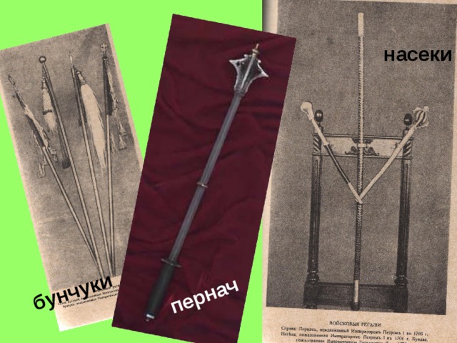 пернач бунчуки насеки 