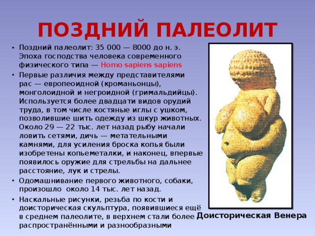 ПОЗДНИЙ ПАЛЕОЛИТ Поздний палеолит: 35 000 — 8000 до н. э. Эпоха господства человека современного физического типа — Homo sapiens sapiens Первые различия между представителями рас — европеоидной (кроманьонцы), монголоидной и негроидной (гримальдийцы). Используется более двадцати видов орудий труда, в том числе костяные иглы с ушком, позволившие шить одежду из шкур животных. Около 29 — 22 тыс. лет назад рыбу начали ловить сетями, дичь — метательными камнями, для усиления броска копья были изобретены копьеметалки, и наконец, впервые появилось оружие для стрельбы на дальнее расстояние, лук и стрелы. Одомашнивание первого животного, собаки, произошло около 14 тыс. лет назад. Наскальные рисунки, резьба по кости и доисторическая скульптура, появившиеся ещё в среднем палеолите, в верхнем стали более распространёнными и разнообразными Доисторическая Венера 
