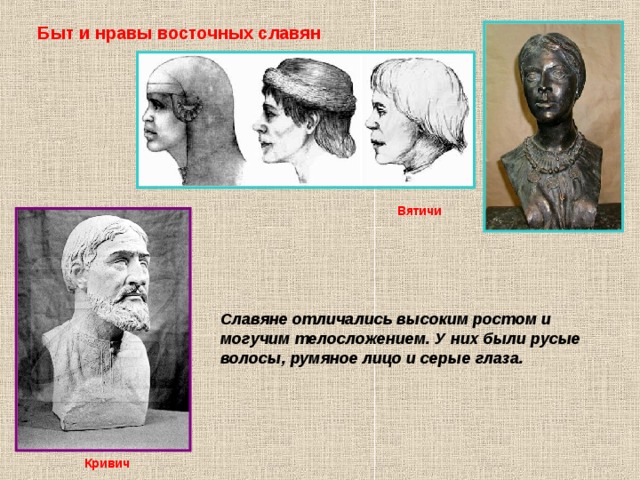 Быт и нравы восточных славян Вятичи Славяне отличались высоким ростом и могучим телосложением. У них были русые волосы, румяное лицо и серые глаза. Кривич 