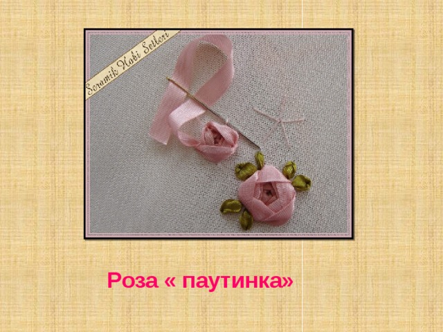 Роза « паутинка» 