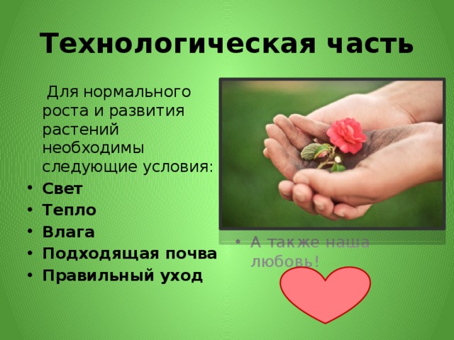 Технологическая часть А также наша любовь!  Для нормального роста и развития растений необходимы следующие условия: Свет Тепло  Влага Подходящая почва Правильный уход 