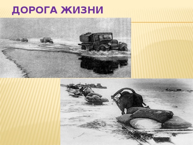 Дорога жизни 