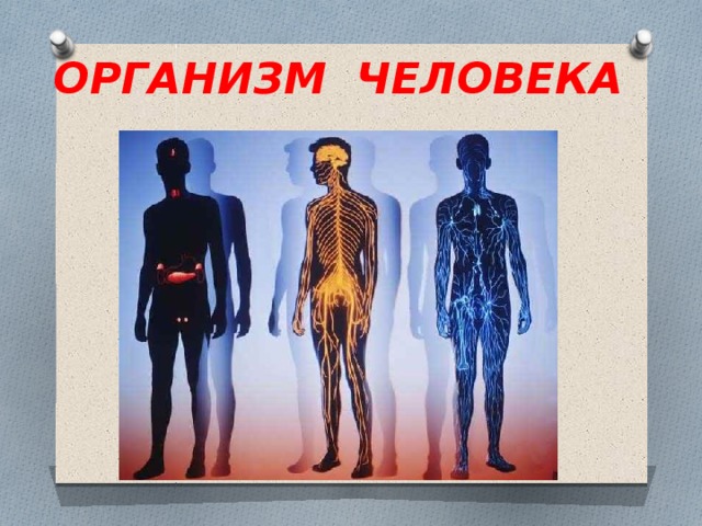ОРГАНИЗМ ЧЕЛОВЕКА 