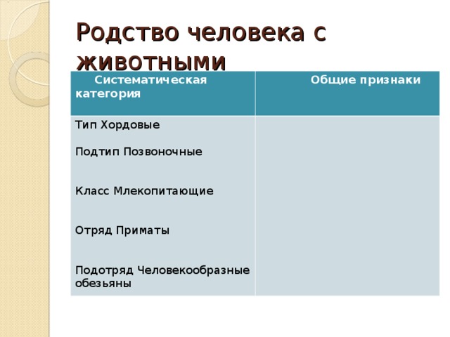 Родство человека с животными  Систематическая категория   Общие признаки Тип Хордовые Подтип Позвоночные Класс Млекопитающие Отряд Приматы Подотряд Человекообразные обезьяны 