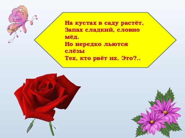 На кустах в саду растёт,  Запах сладкий, словно мёд.  Но нередко льются слёзы  Тех, кто рвёт их. Это?.. 