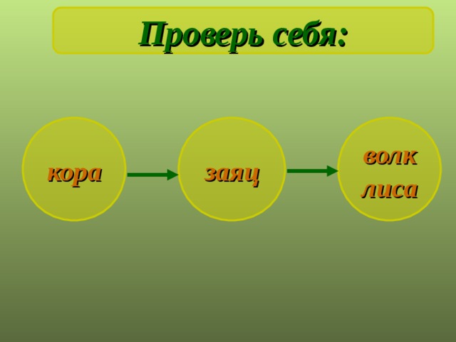Проверь себя: кора заяц волк лиса 
