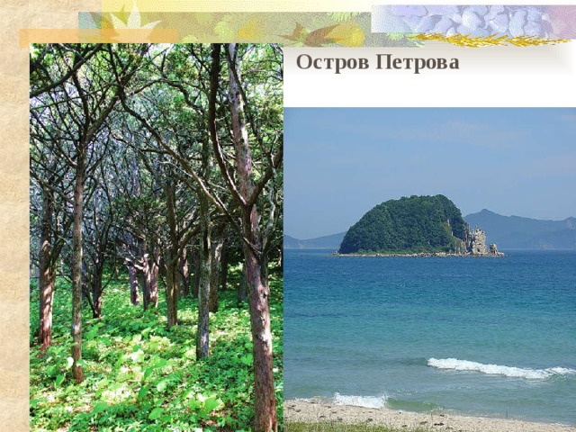 Остров Петрова Остров Петрова 