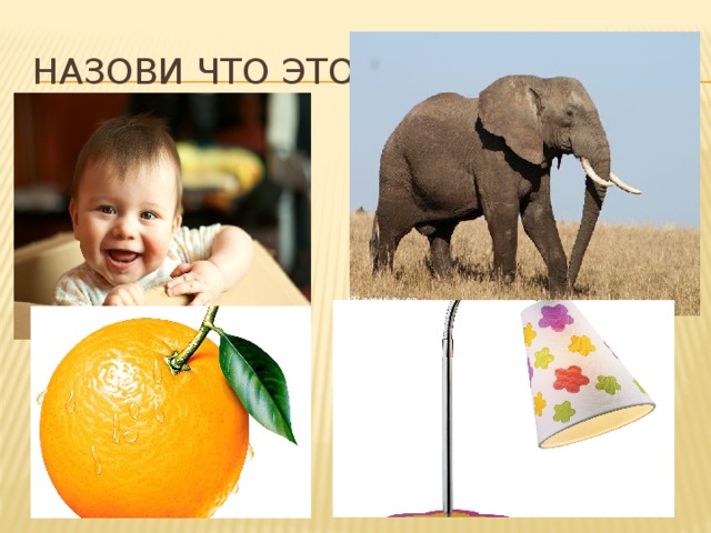 Назови что это 