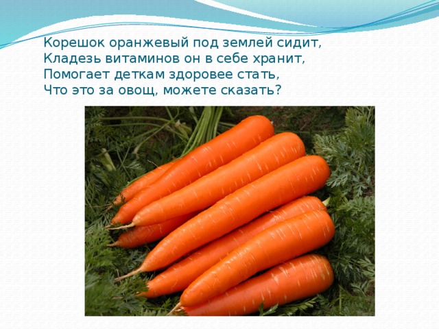 Корешок оранжевый под землей сидит,  Кладезь витаминов он в себе хранит,  Помогает деткам здоровее стать,  Что это за овощ, можете сказать?   
