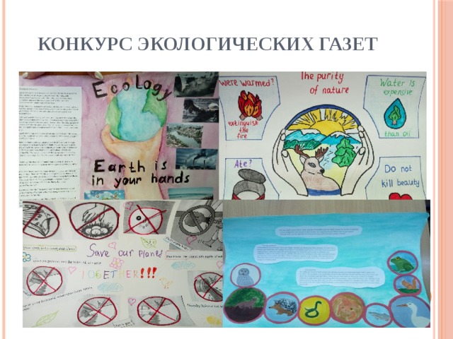Конкурс экологических газет 