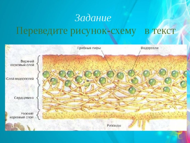  Задание Переведите рисунок-схему в текст  
