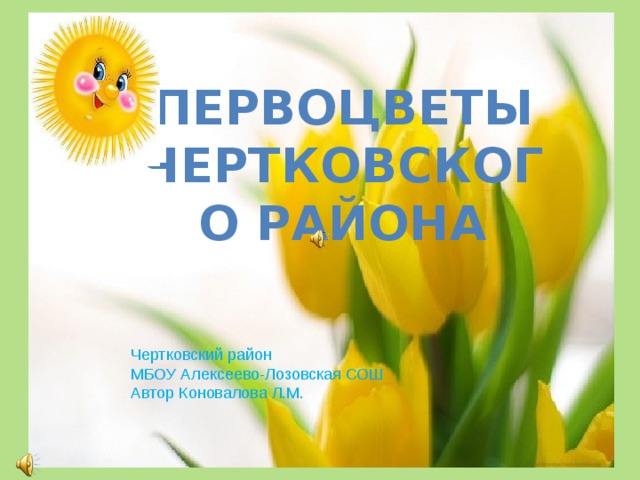 Первоцветы Чертковского района Чертковский район МБОУ Алексеево-Лозовская СОШ Автор Коновалова Л.М. 