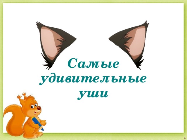  Самые  удивительные уши 