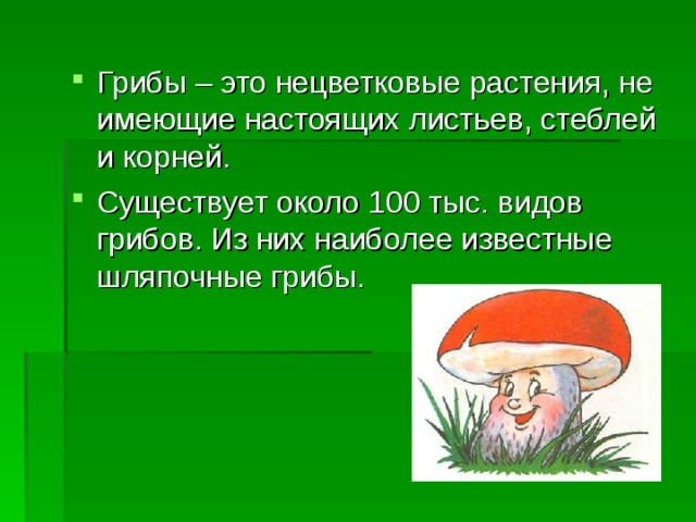 Грибы – это нецветковые растения, не имеющие настоящих листьев, стеблей и корней. Существует около 100 тыс. видов грибов. Из них наиболее известные шляпочные грибы. 
