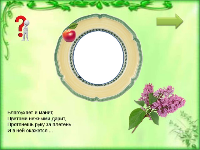 С И РЕНЬ Благоухает и манит,   Цветами нежными дарит,    Протянешь руку за плетень -    И в ней окажется ... 
