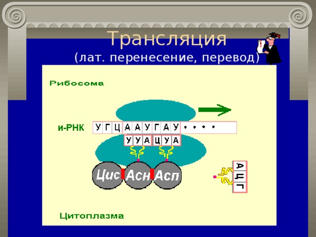 Трансляция  (лат. перенесение, перевод) 