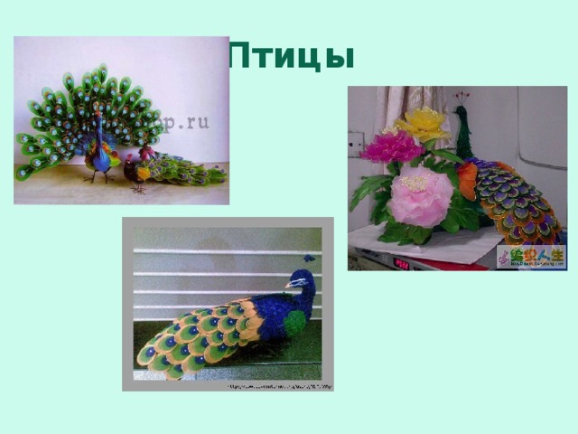 Птицы 