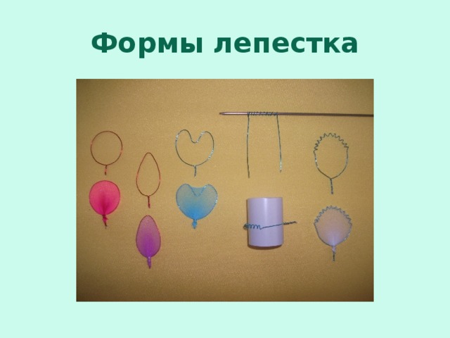 Формы лепестка 