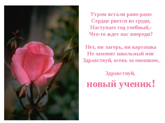 Утром встали рано-рано  Сердце рвется из груди,  Наступает год учебный,-  Что-то ждет нас впереди?   Нет, ни лагерь, ни картошка  Не заменят школьный миг  Здравствуй, осень за окошком,   Здравствуй,  новый ученик ! 