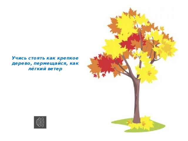 Учись стоять как крепкое дерево, пермещайся, как лёгкий ветер