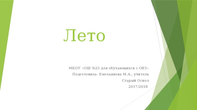 Лето МБОУ «ОШ №23 для обучающихся с ОВЗ» Подготовила: Емельянова М.А., учитель Старый Оскол 2017/2018 