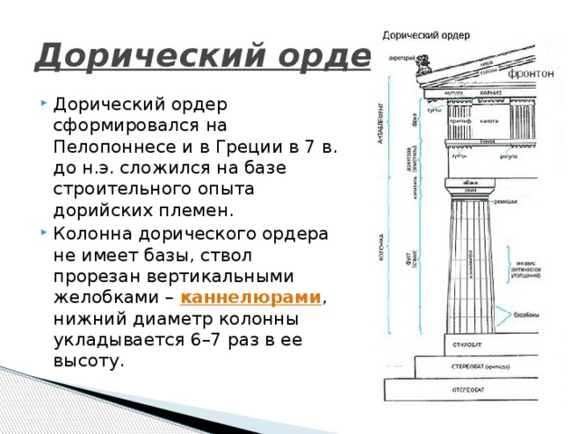 Дорический ордер  Дорический ордер сформировался на Пелопоннесе и в Греции в 7 в. до н.э. сложился на базе строительного опыта дорийских племен. Колонна дорического ордера не имеет базы, ствол прорезан вертикальными желобками – каннелюрами , нижний диаметр колонны укладывается 6–7 раз в ее высоту. 