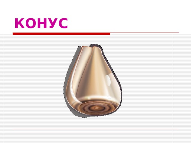 КОНУС 