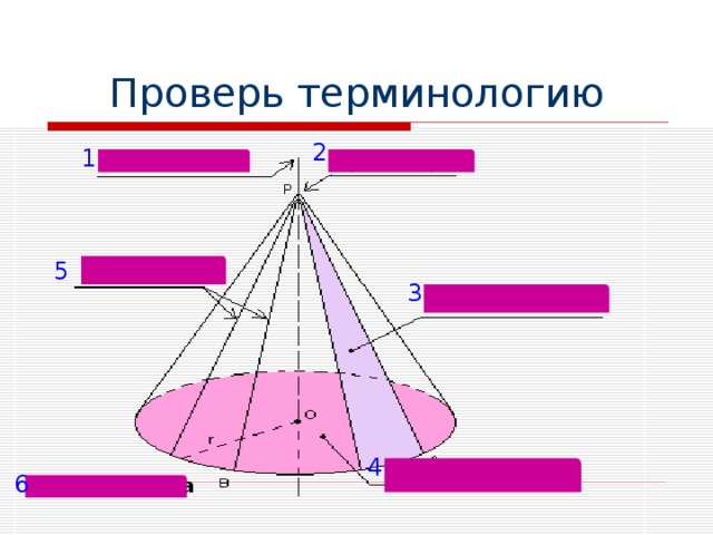Проверь терминологию 2 1 5 3 4 6 радиус конуса 