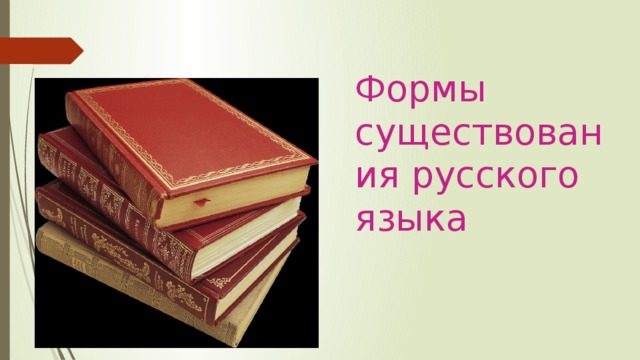 Формы существования русского языка 