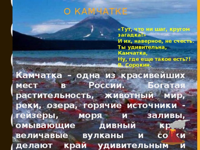 О КАМЧАТКЕ «Тут, что ни шаг, кругом загадка!» И их, наверное, не счесть. Ты удивительна, Камчатка, Ну, где еще такое есть?! В. Сорокин.  Камчатка – одна из красивейших мест в России. Богатая растительность, животный мир, реки, озера, горячие источники - гейзеры, моря и заливы, омывающие дивный край, величавые вулканы и сопки делают край удивительным и неповторимым.
