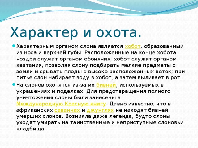Характер и охота. Характерным органом слона является  хобот , образованный из носа и верхней губы. Расположенные на конце хобота ноздри служат органом обоняния; хобот служит органом хватания, позволяя слону подбирать мелкие предметы с земли и срывать плоды с высоко расположенных веток; при питье слон набирает воду в хобот, а затем выливает в рот. На слонов охотятся из-за их  бивней , используемых в украшениях и поделках. Для предотвращения полного уничтожения слоны были занесены в  Международную Красную книгу . Давно известно, что в африканских  саваннах  и  джунглях  не находят бивней умерших слонов. Возникла даже легенда, будто слоны уходят умирать на таинственные и неприступные слоновьи кладбища. 
