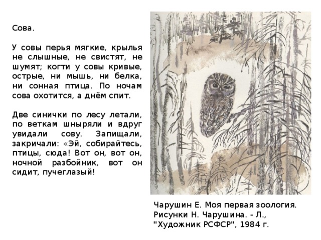 Сова. У совы перья мягкие, крылья не слышные, не свистят, не шумят; когти у совы кривые, острые, ни мышь, ни белка, ни сонная птица. По ночам сова охотится, а днём спит. Две синички по лесу летали, по веткам шныряли и вдруг увидали сову. Запищали, закричали: «Эй, собирайтесь, птицы, сюда! Вот он, вот он, ночной разбойник, вот он сидит, пучеглазый! Чарушин Е. Моя первая зоология. Рисунки Н. Чарушина. - Л., 