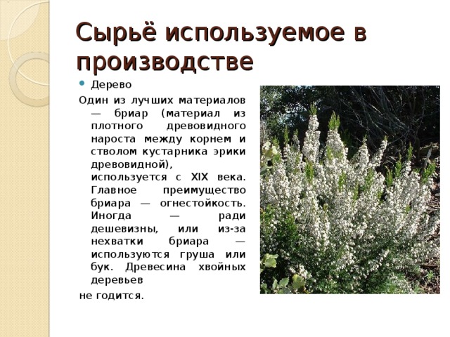 Сырьё используемое в производстве Дерево Один из лучших материалов — бриар (материал из плотного древовидного нароста между корнем и стволом кустарника эрики древовидной), используется с XIX века. Главное преимущество бриара — огнестойкость. Иногда — ради дешевизны, или из-за нехватки бриара — используются груша или бук. Древесина хвойных деревьев не годится. 