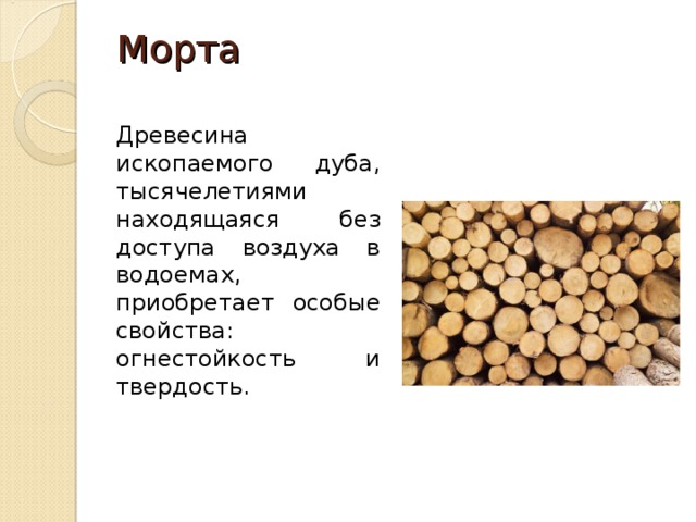 Морта   Древесина ископаемого дуба, тысячелетиями находящаяся без доступа воздуха в водоемах, приобретает особые свойства: огнестойкость и твердость. 