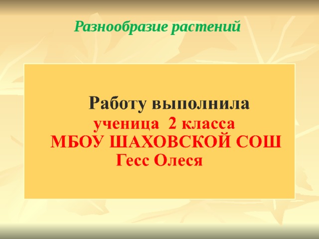Разнообразие растений 