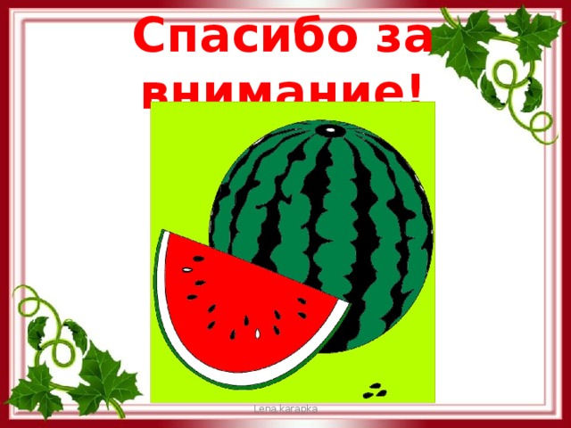 Спасибо за внимание! Lena.karapka 