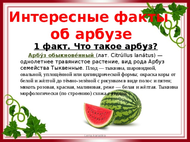Интересные факты  об арбузе 1 факт. Что такое арбуз?  Арбу́з обыкнове́нный (лат. Citrúllus lanátus) — однолетнее травянистое растение, вид рода Арбуз семейства Тыквенные. Плод — тыквина, шаровидной, овальной, уплощённой или цилиндрической формы; окраска коры от белой и жёлтой до тёмно-зелёной с рисунком в виде полос и пятен; мякоть розовая, красная, малиновая, реже — белая и жёлтая. Тыквина морфологически (по строению) схожа с ягодой. Lena.karapka 