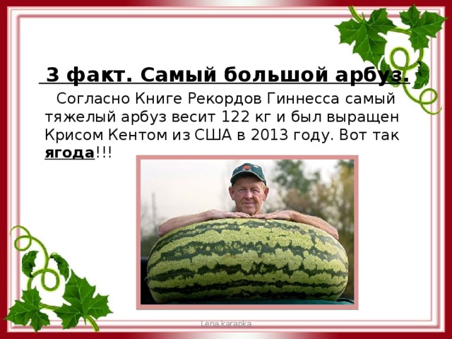  3 факт. Самый большой арбуз.  Согласно Книге Рекордов Гиннесса самый тяжелый арбуз весит 122 кг и был выращен Крисом Кентом из США в 2013 году. Вот так ягода !!! Lena.karapka 