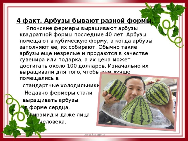 4 факт. Арбузы бывают разной формы.  Японские фермеры выращивают арбузы квадратной формы последние 40 лет. Арбузы помещают в кубическую форму, а когда арбузы заполняют ее, их собирают. Обычно такие арбузы еще незрелые и продаются в качестве сувенира или подарка, а их цена может достигать около 100 долларов. Изначально их выращивали для того, чтобы они лучше помещались в  стандартные холодильники.  Недавно фермеры стали  выращивать арбузы  в форме сердца,  пирамид и даже лица  человека. Lena.karapka 