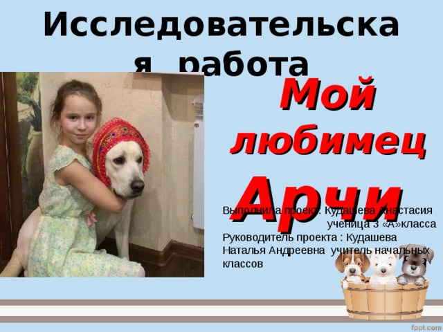 Исследовательская работа Мой любимец Арчи Выполнила проект: Кудашева Анастасия  ученица 3 «А»класса  Руководитель проекта : Кудашева Наталья Андреевна учитель начальных классов  