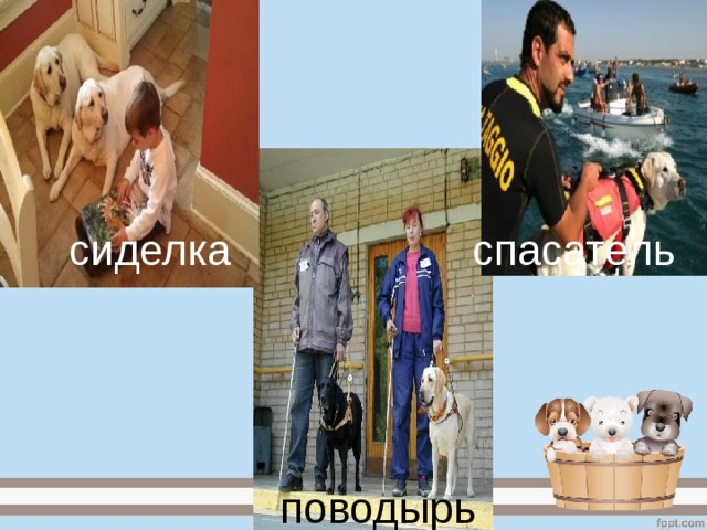         сиделка  спасатель       поводырь 