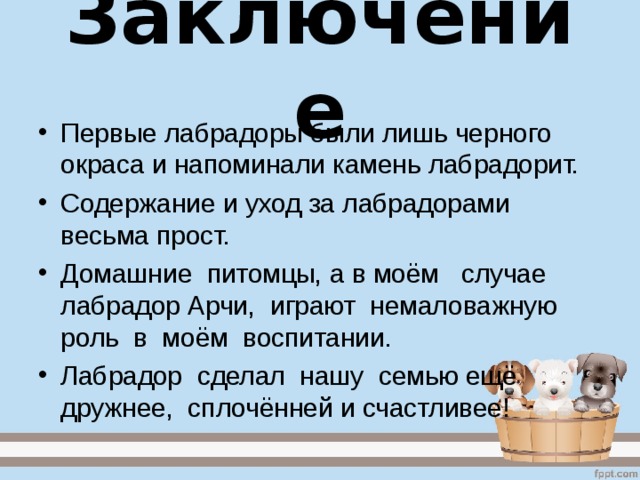 Заключение Первые лабрадоры были лишь черного окраса и напоминали камень лабрадорит. Содержание и уход за лабрадорами весьма прост. Домашние питомцы, а в моём случае лабрадор Арчи, играют немаловажную роль в моём воспитании. Лабрадор сделал нашу семью ещё дружнее, сплочённей и счастливее!  