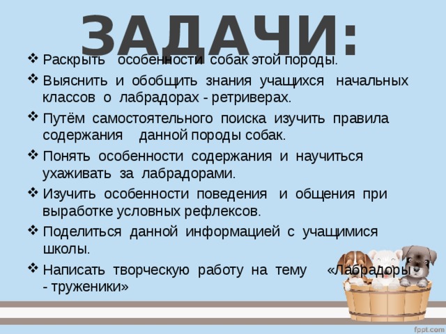 ЗАДАЧИ: Раскрыть особенности собак этой породы. Выяснить и обобщить знания учащихся начальных классов о лабрадорах - ретриверах. Путём самостоятельного поиска изучить правила содержания данной породы собак. Понять особенности содержания и научиться ухаживать за лабрадорами. Изучить особенности поведения и общения при выработке условных рефлексов. Поделиться данной информацией с учащимися школы. Написать творческую работу на тему «Лабрадоры - труженики» 