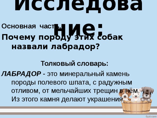 Исследование: Основная часть. Почему породу этих собак назвали лабрадор? Почему породу этих собак назвали лабрадор?  Толковый словарь:  Толковый словарь: ЛАБРАДОР - это минеральный камень породы полевого шпата, с радужным отливом, от мельчайших трещин в нём. Из этого камня делают украшения. 