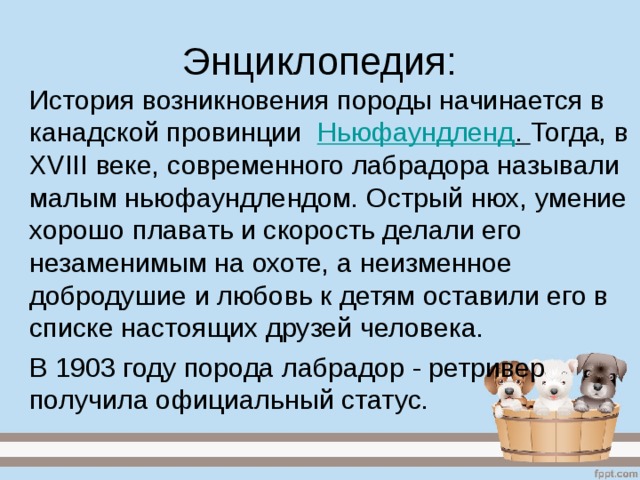 Энциклопедия:  История возникновения породы начинается в канадской провинции   Ньюфаундленд . Тогда, в XVIII веке, современного лабрадора называли малым ньюфаундлендом. Острый нюх, умение хорошо плавать и скорость делали его незаменимым на охоте, а неизменное добродушие и любовь к детям оставили его в списке настоящих друзей человека.  В 1903 году порода лабрадор - ретривер получила официальный статус. 